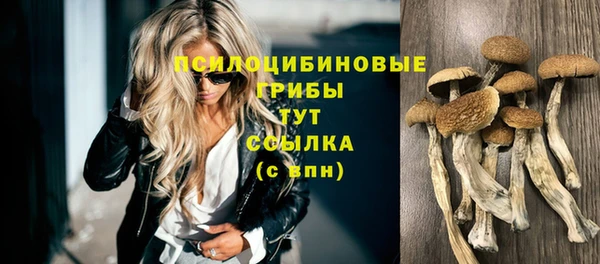 меф Богданович