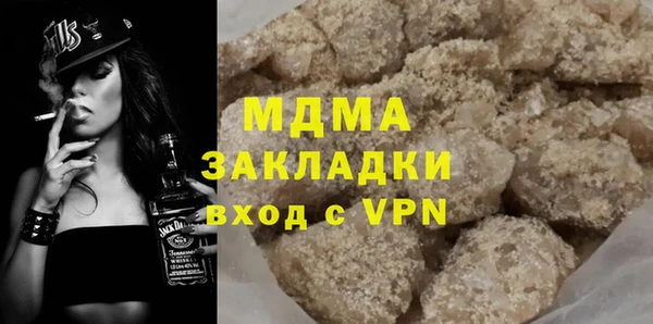 индика Богородицк